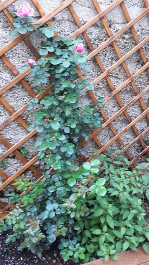 Apartman Hidden Gem Šibenik Dış mekan fotoğraf
